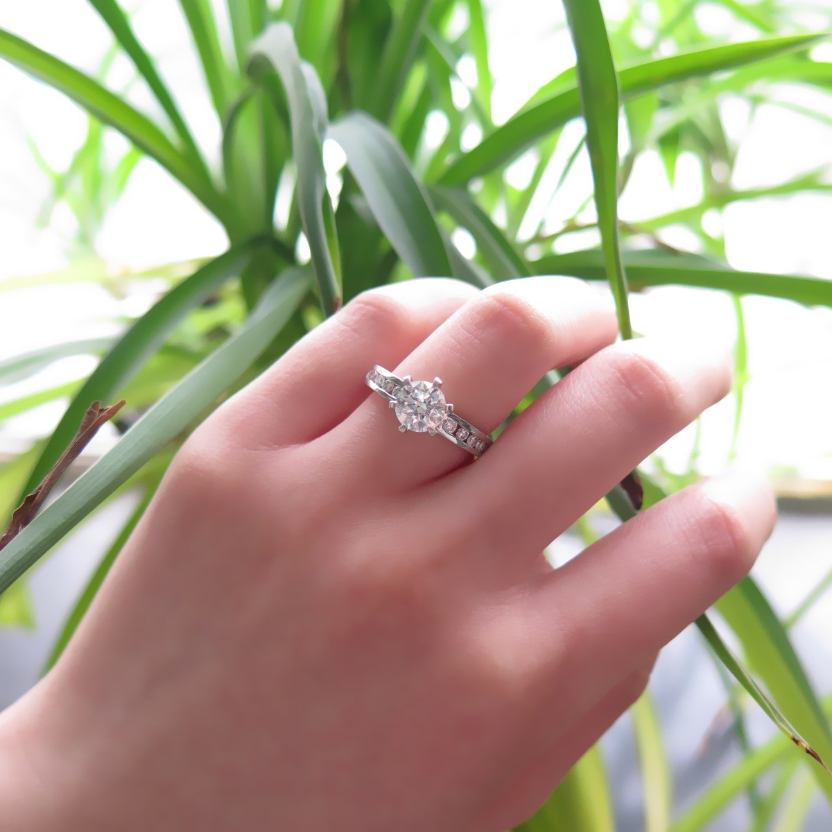 IMG_6082_副本.jpg IMG_6082_副本.jpg