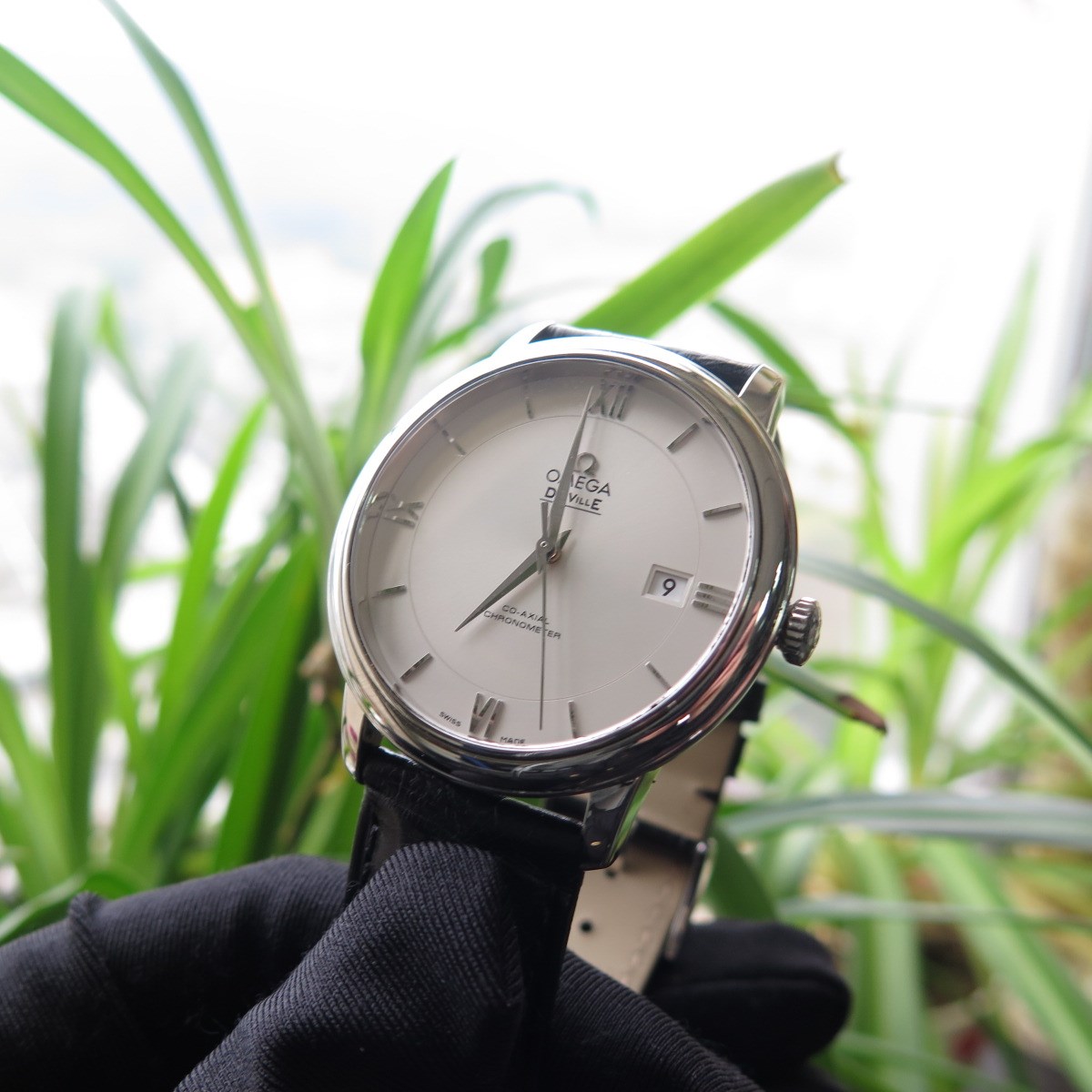 IMG_8219_副本.jpg IMG_8219_副本.jpg