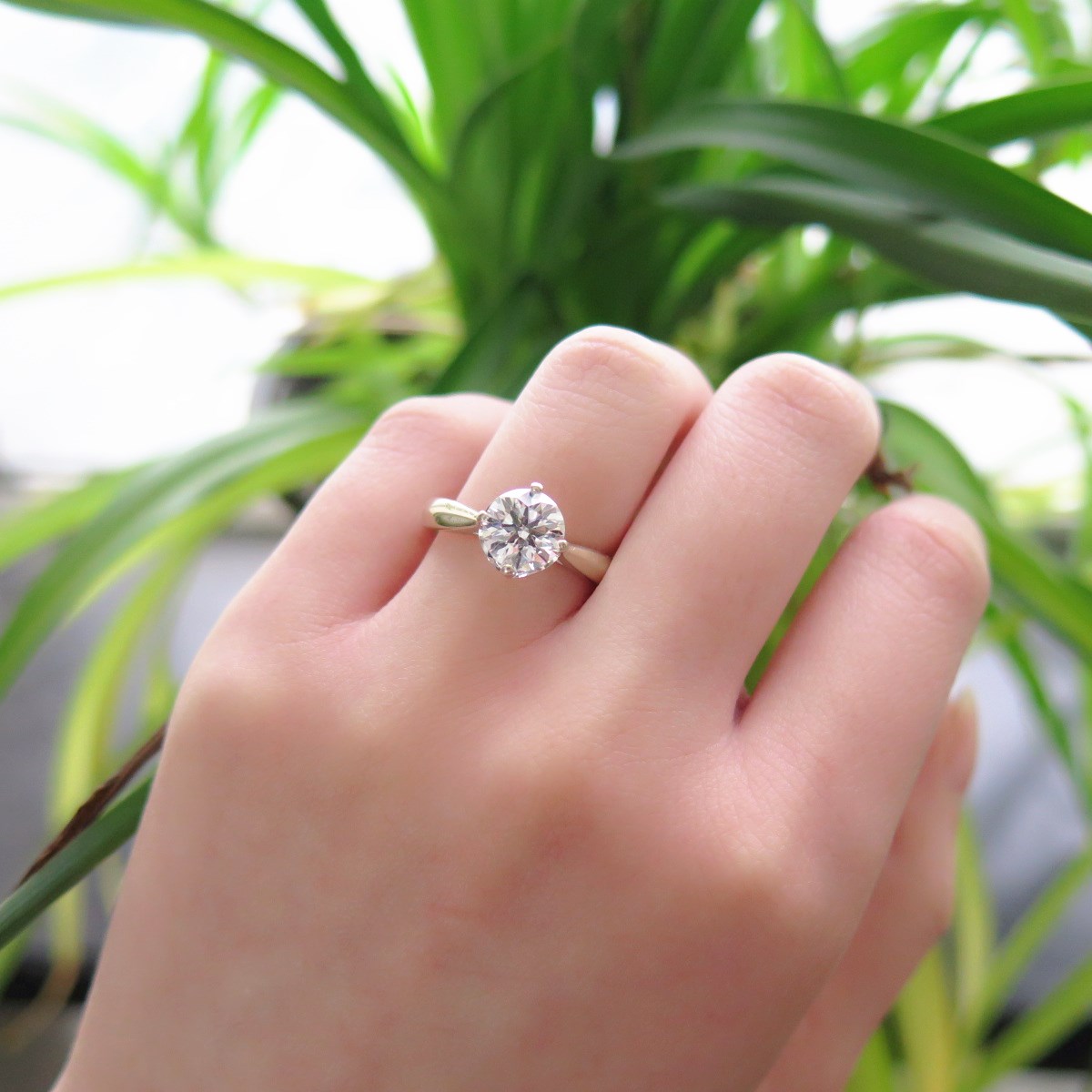 IMG_6488_副本.jpg IMG_6488_副本.jpg