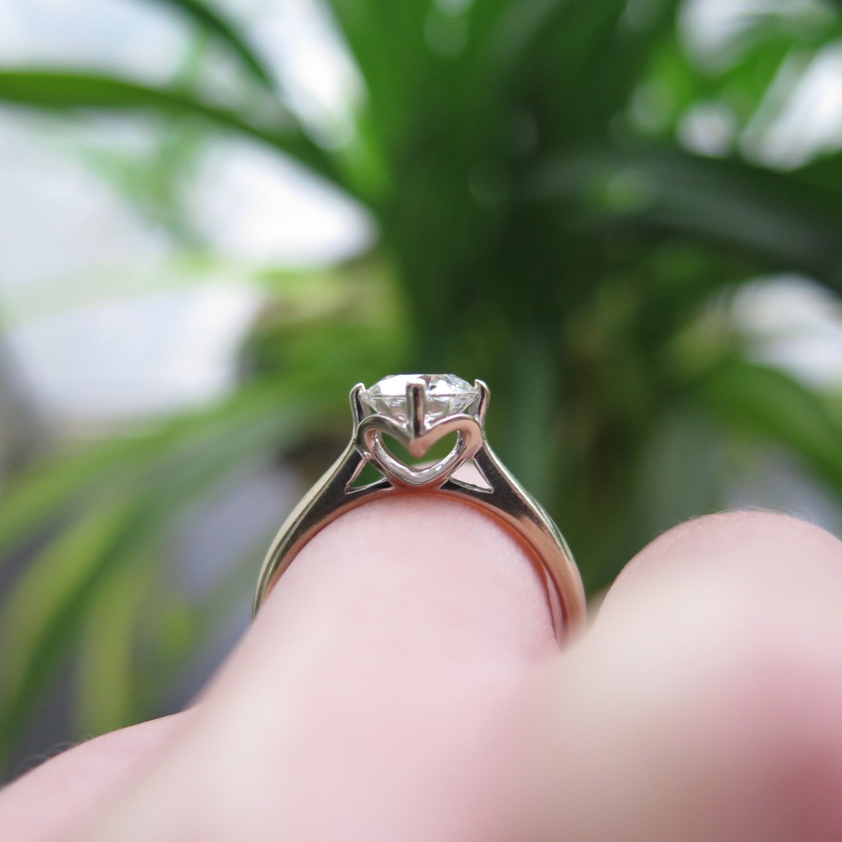 IMG_6487_副本.jpg IMG_6487_副本.jpg