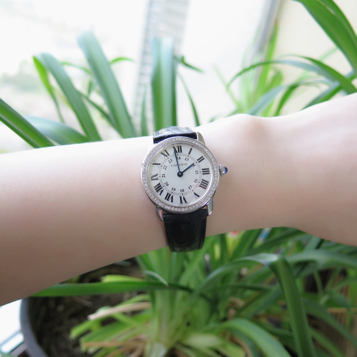 IMG_0216_副本.jpg IMG_0216_副本.jpg