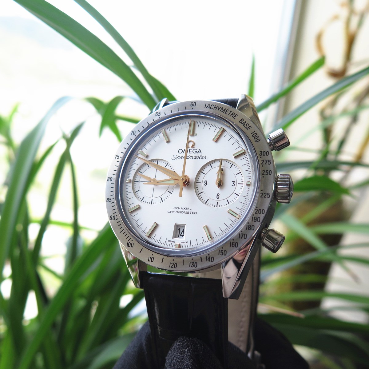 IMG_9816_副本.jpg IMG_9816_副本.jpg