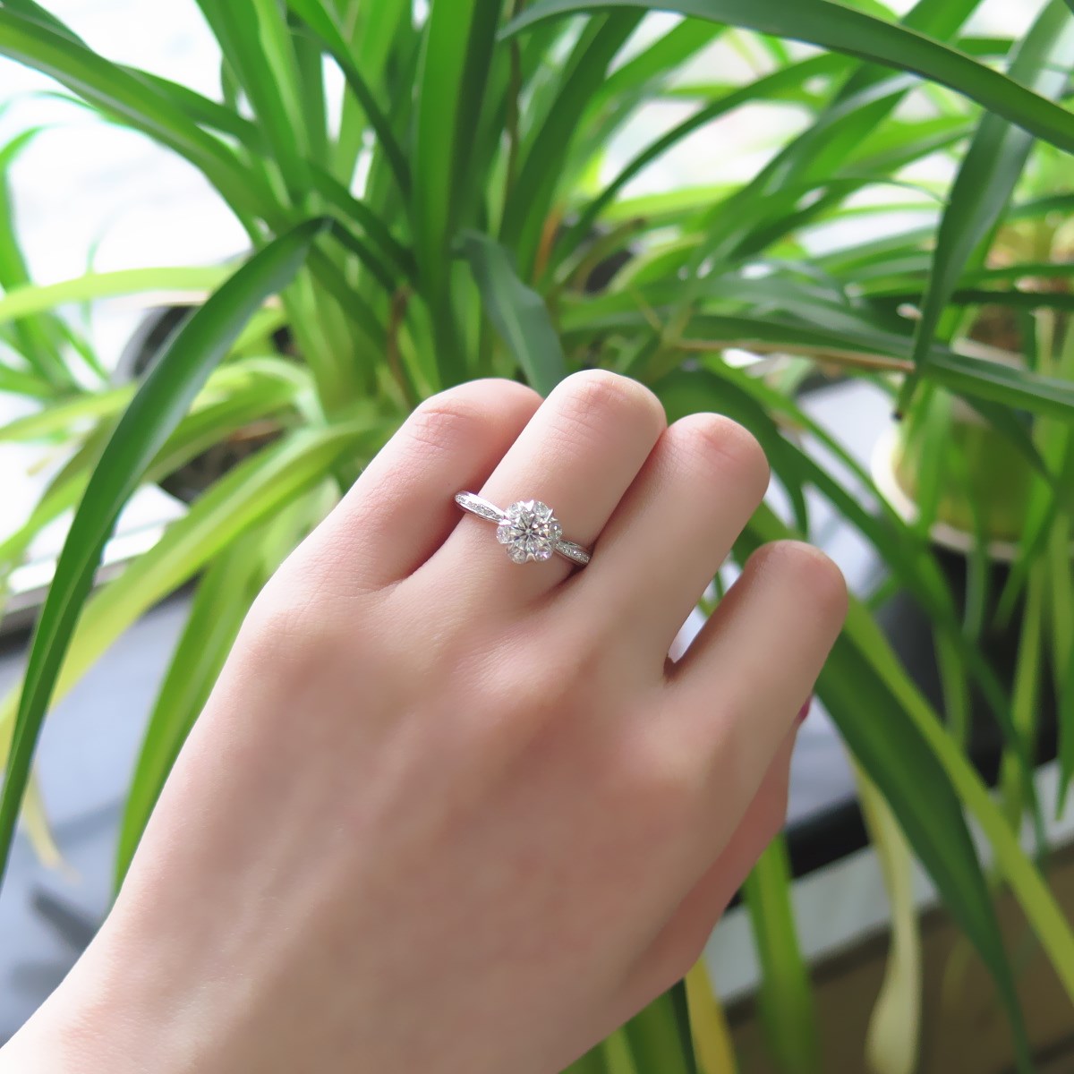 IMG_7778_副本.jpg IMG_7778_副本.jpg