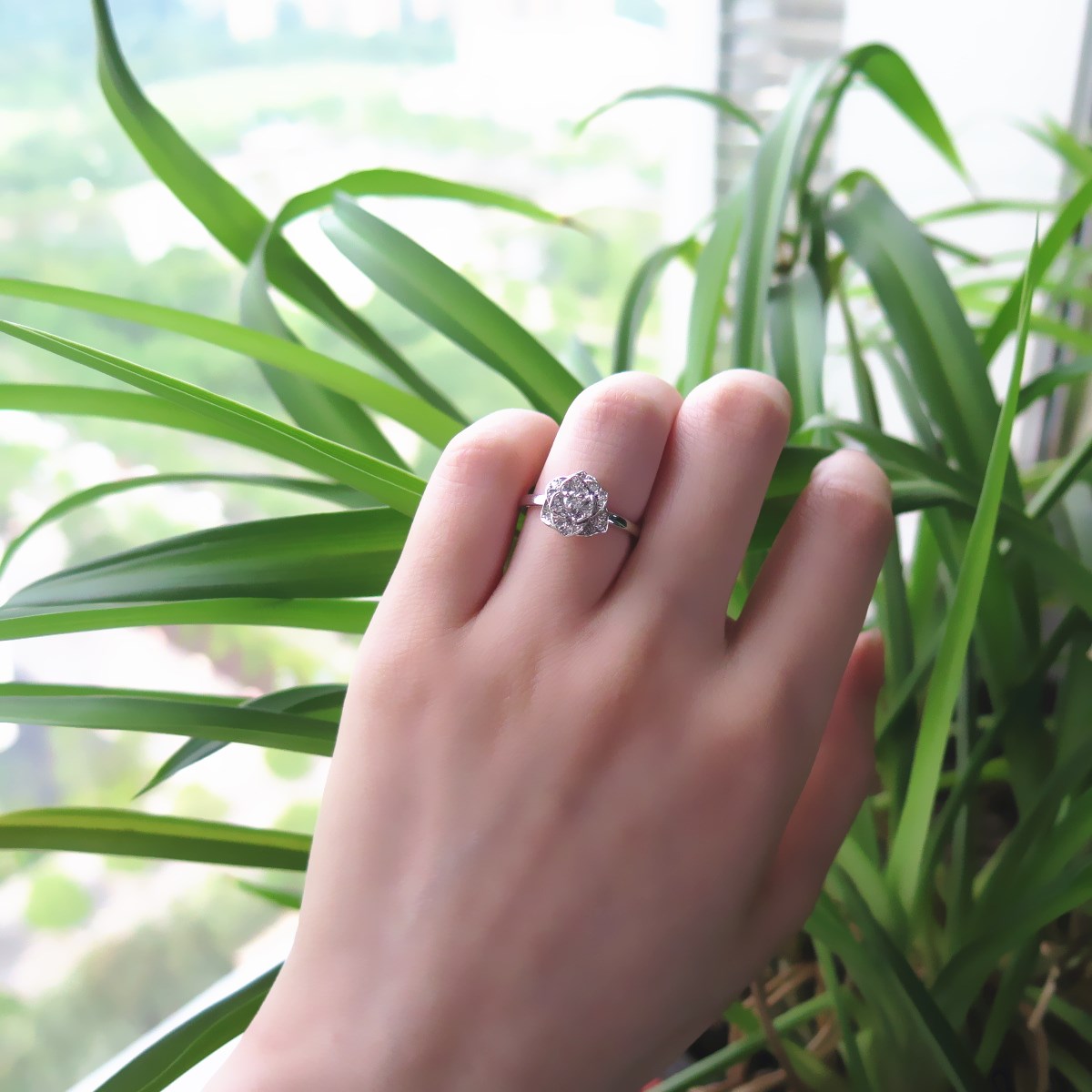 IMG_3620_副本.jpg IMG_3620_副本.jpg