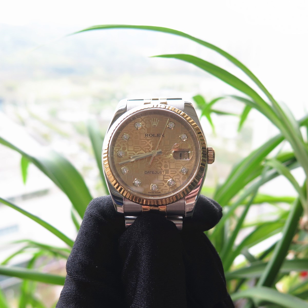 IMG_0137_副本.jpg IMG_0137_副本.jpg