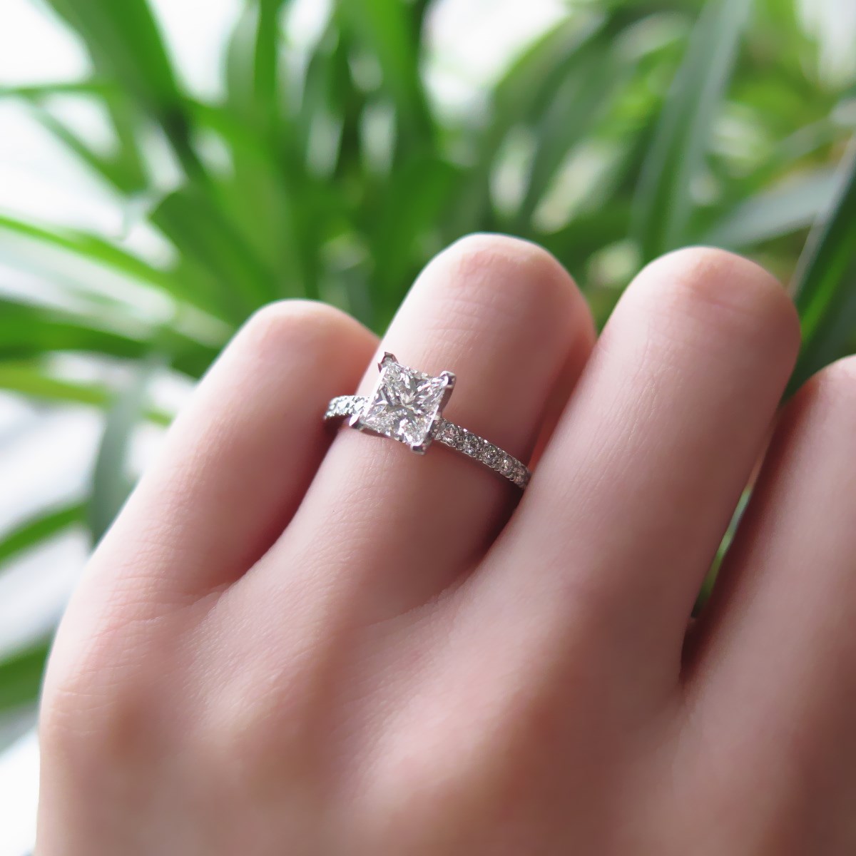 IMG_0910_副本.jpg IMG_0910_副本.jpg