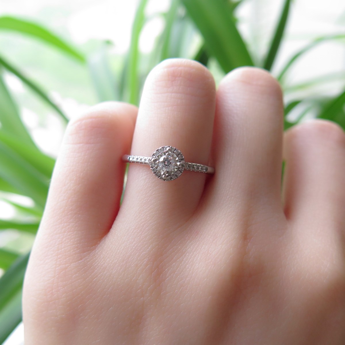 IMG_2543_副本.jpg IMG_2543_副本.jpg