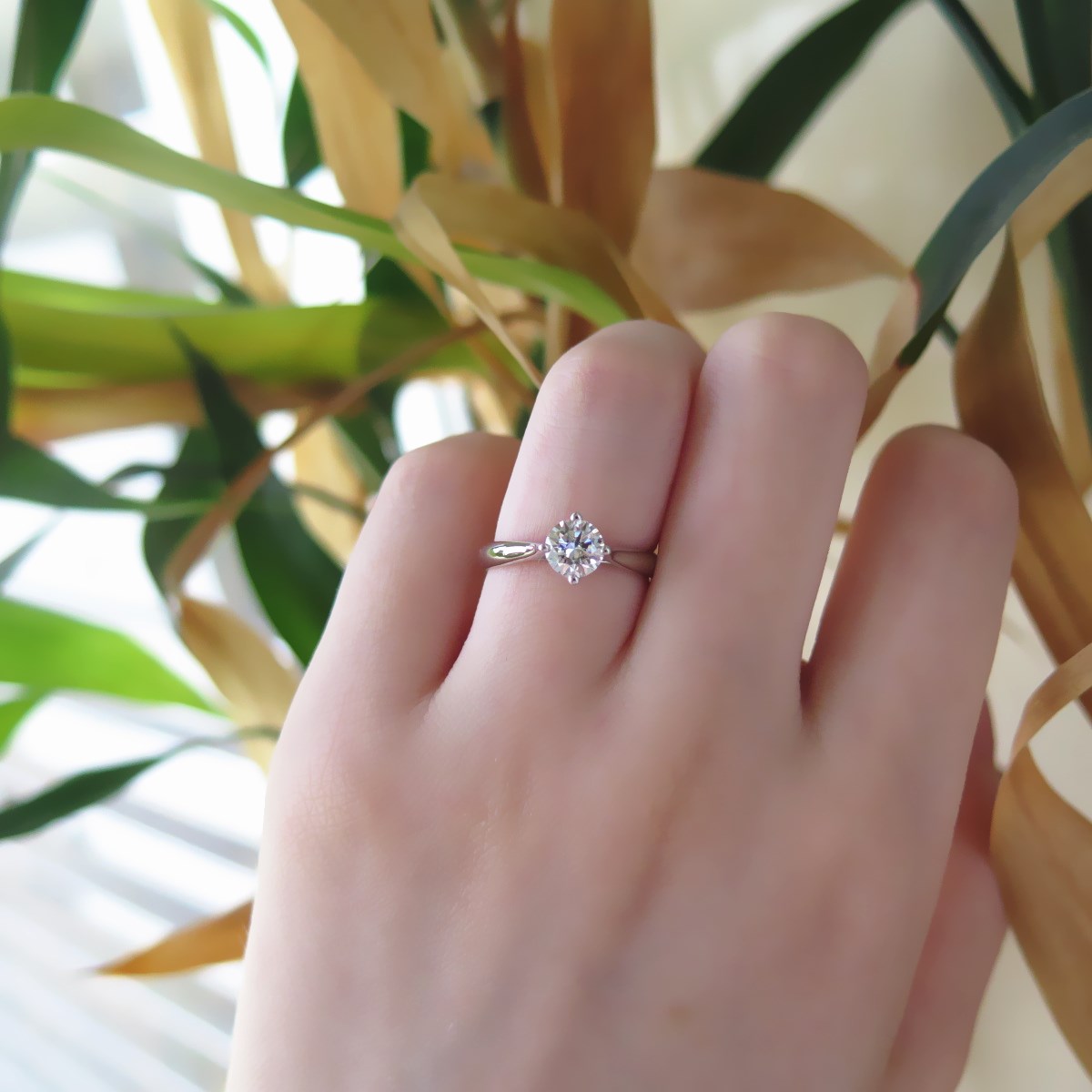 IMG_3193_副本.jpg IMG_3193_副本.jpg