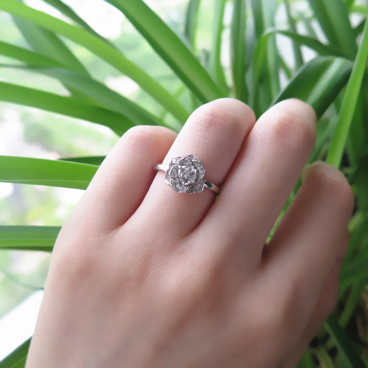 IMG_3622_副本.jpg IMG_3622_副本.jpg