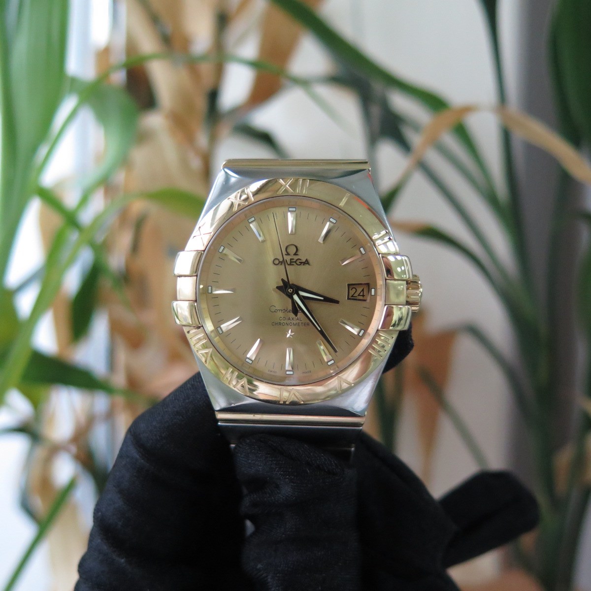 IMG_1126_副本.jpg IMG_1126_副本.jpg