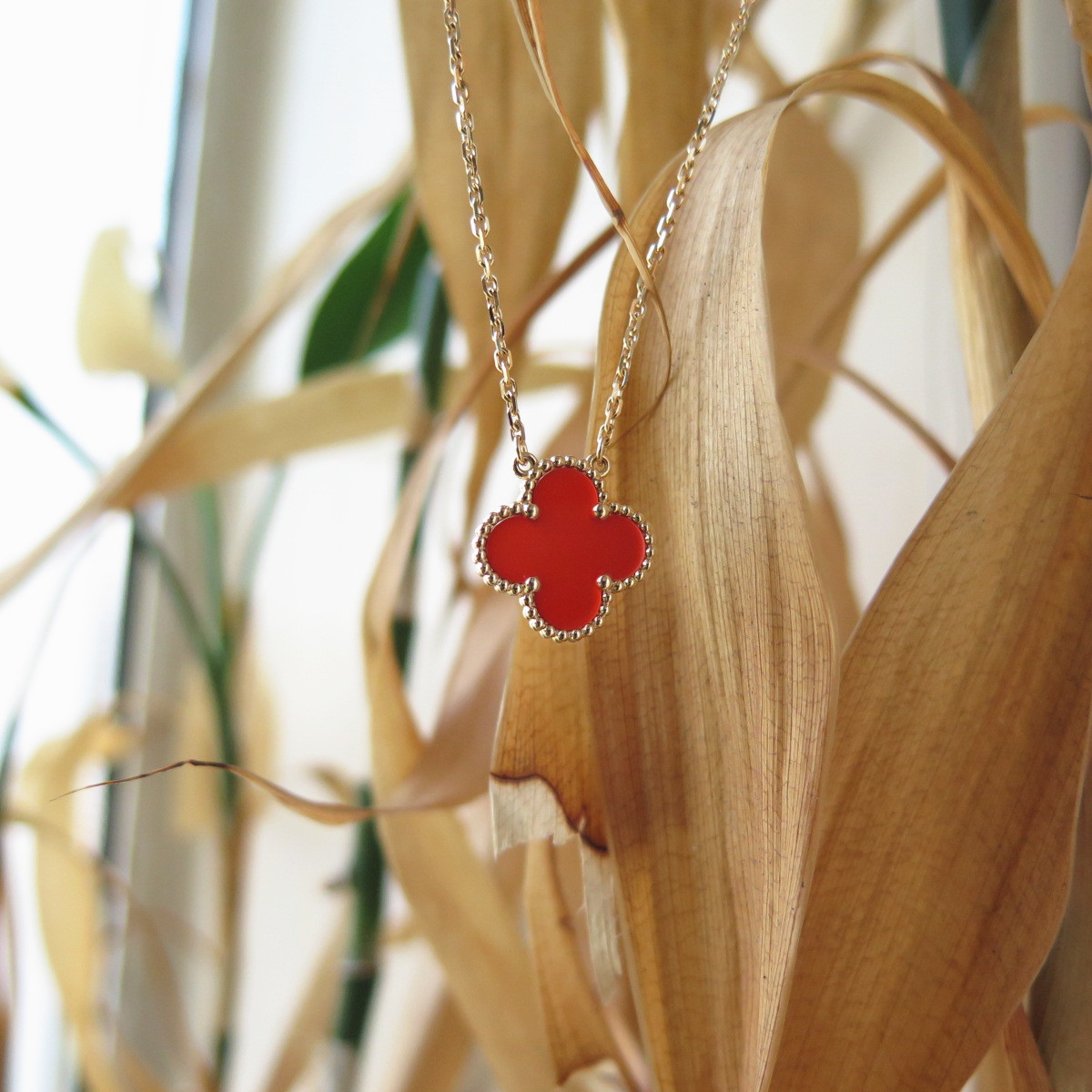 IMG_8459_副本.jpg IMG_8459_副本.jpg