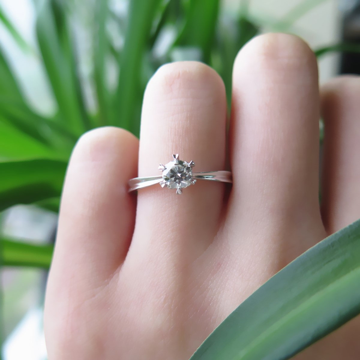 IMG_0957_副本.jpg IMG_0957_副本.jpg