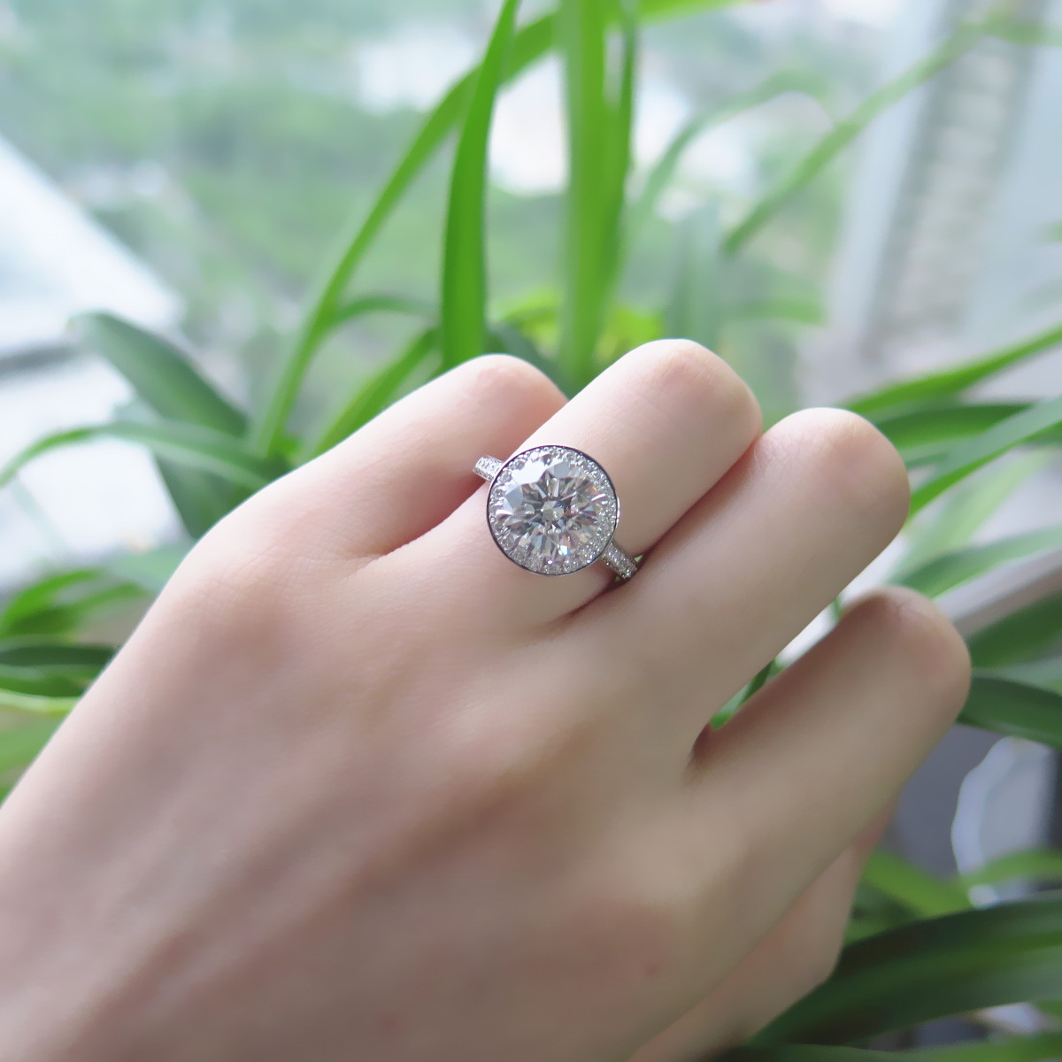 IMG_2611_副本.jpg IMG_2611_副本.jpg