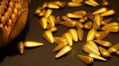 QQ截圖20210430150831.jpg QQ截圖20210430150831.jpg