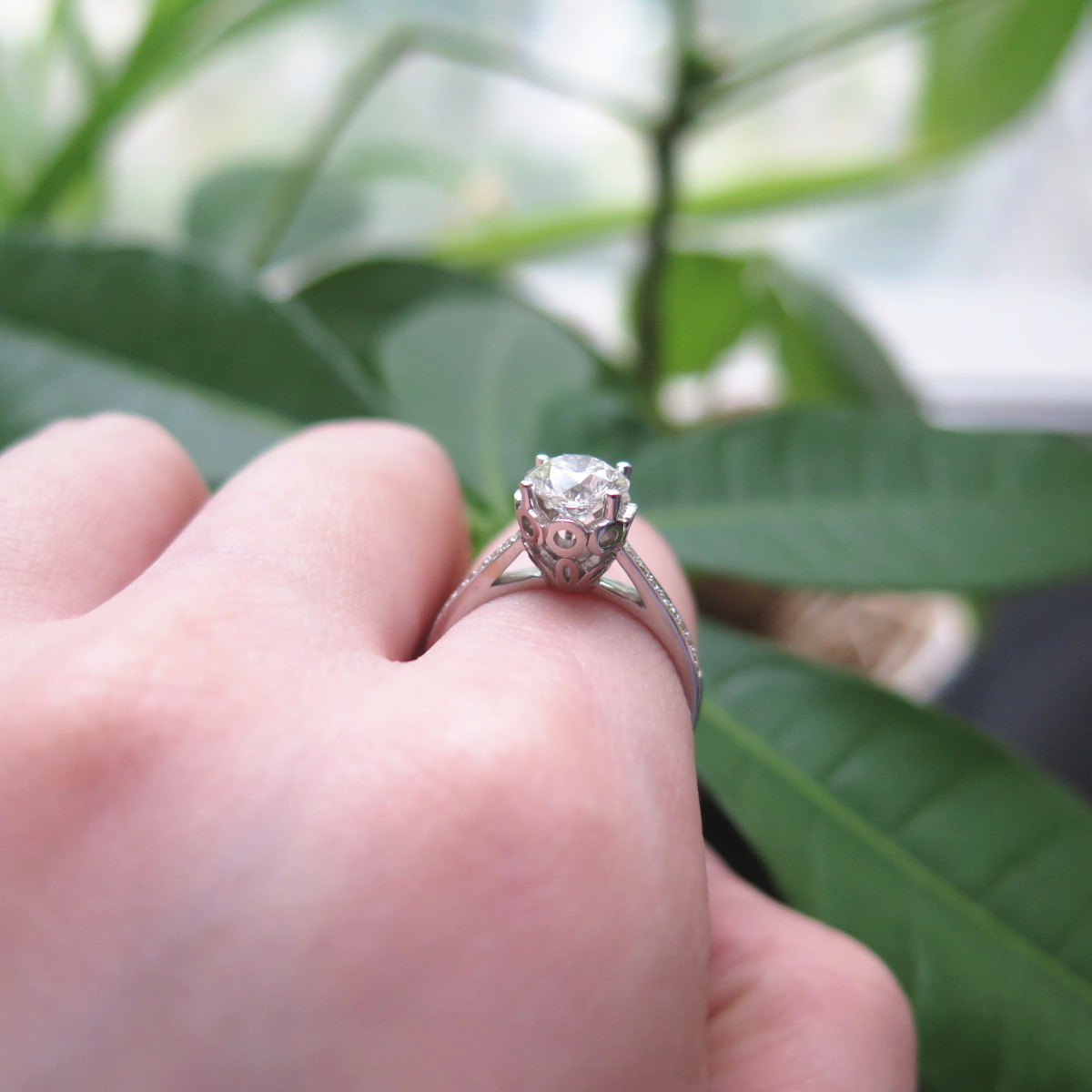 IMG_3722_副本.jpg IMG_3722_副本.jpg