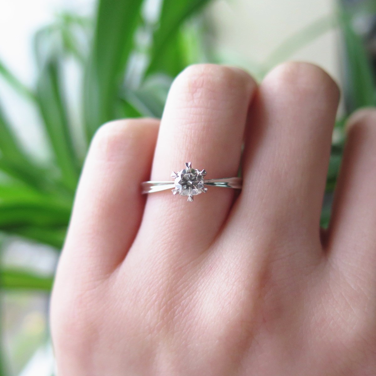 IMG_0963_副本.jpg IMG_0963_副本.jpg