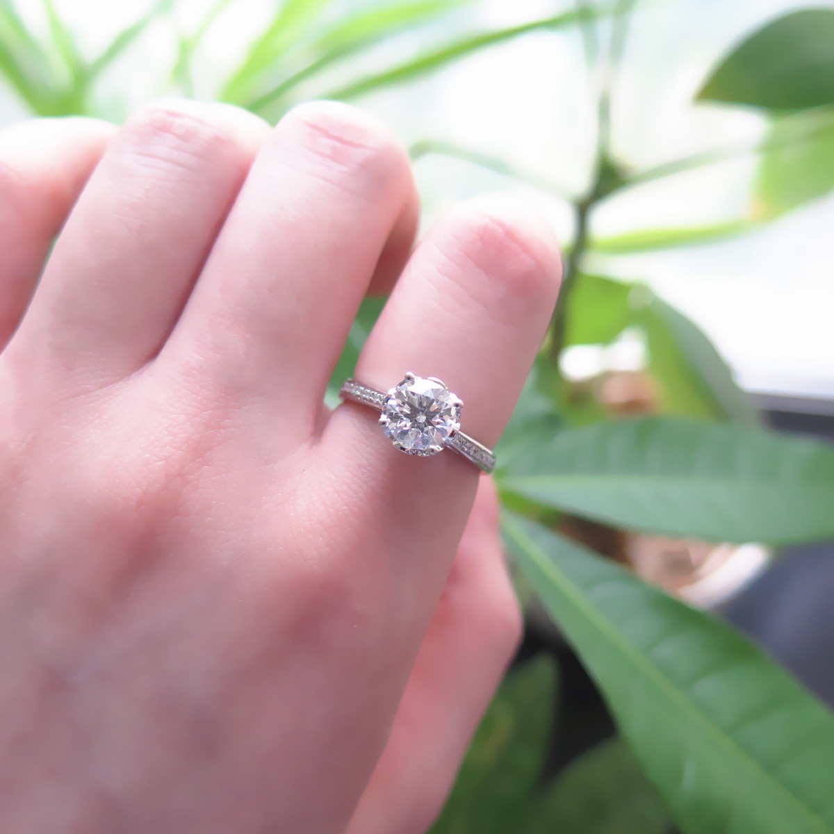 IMG_3723_副本.jpg IMG_3723_副本.jpg