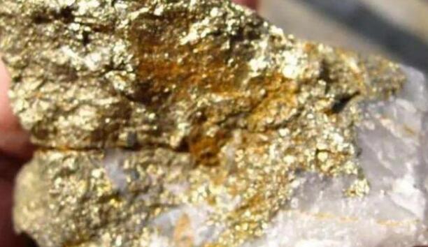 QQ截圖20211113140556.jpg QQ截圖20211113140556.jpg