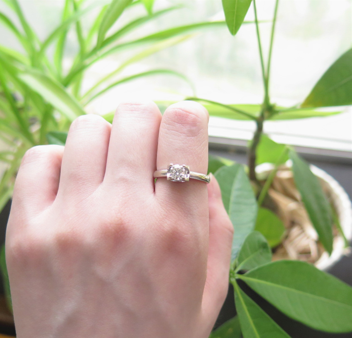 IMG_3519_副本.jpg IMG_3519_副本.jpg