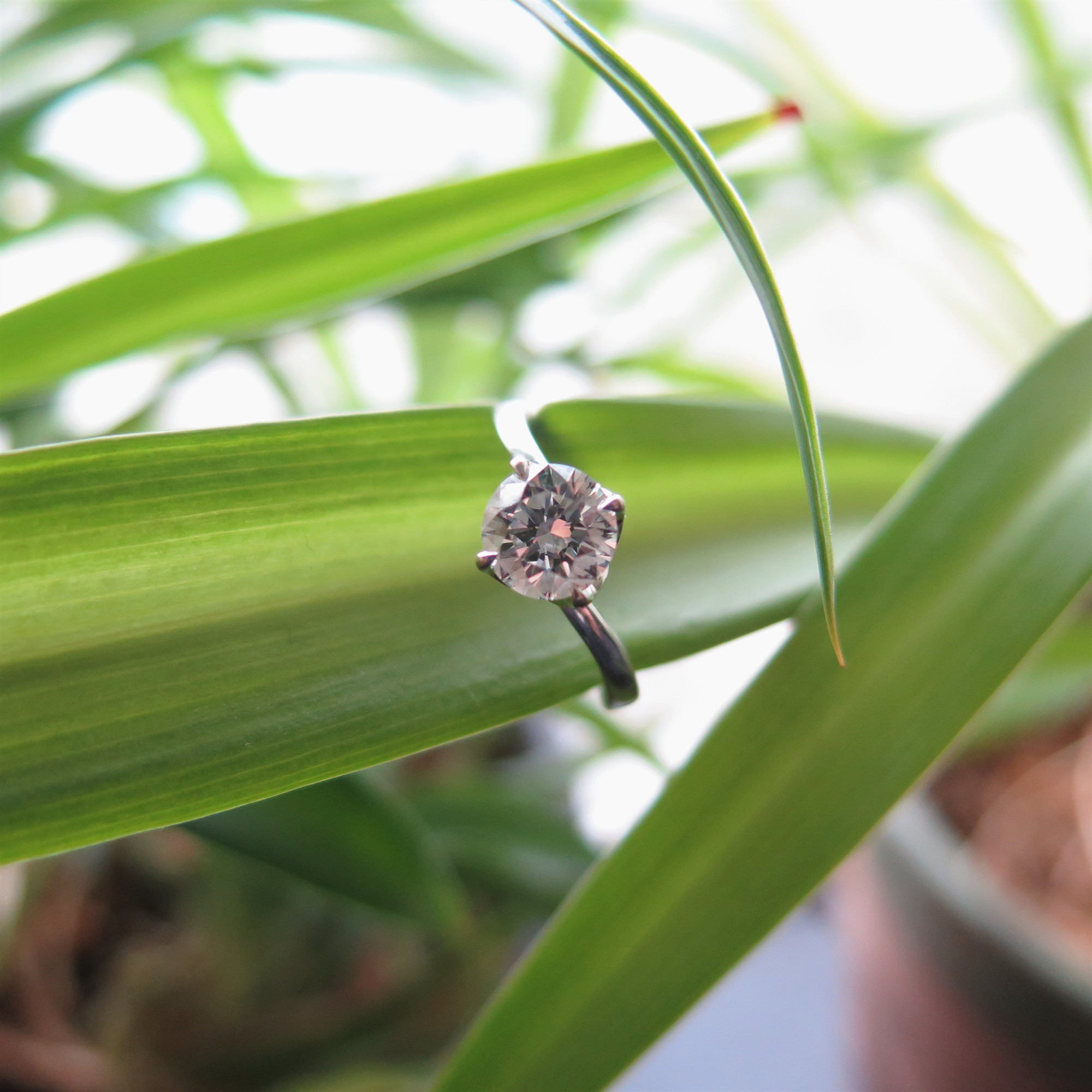 IMG_1519_副本.jpg IMG_1519_副本.jpg